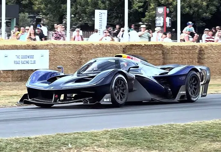 图片[1]-[F1] 纽维亲驾RB17首登古德伍德：四年心血终成现实-ModFans