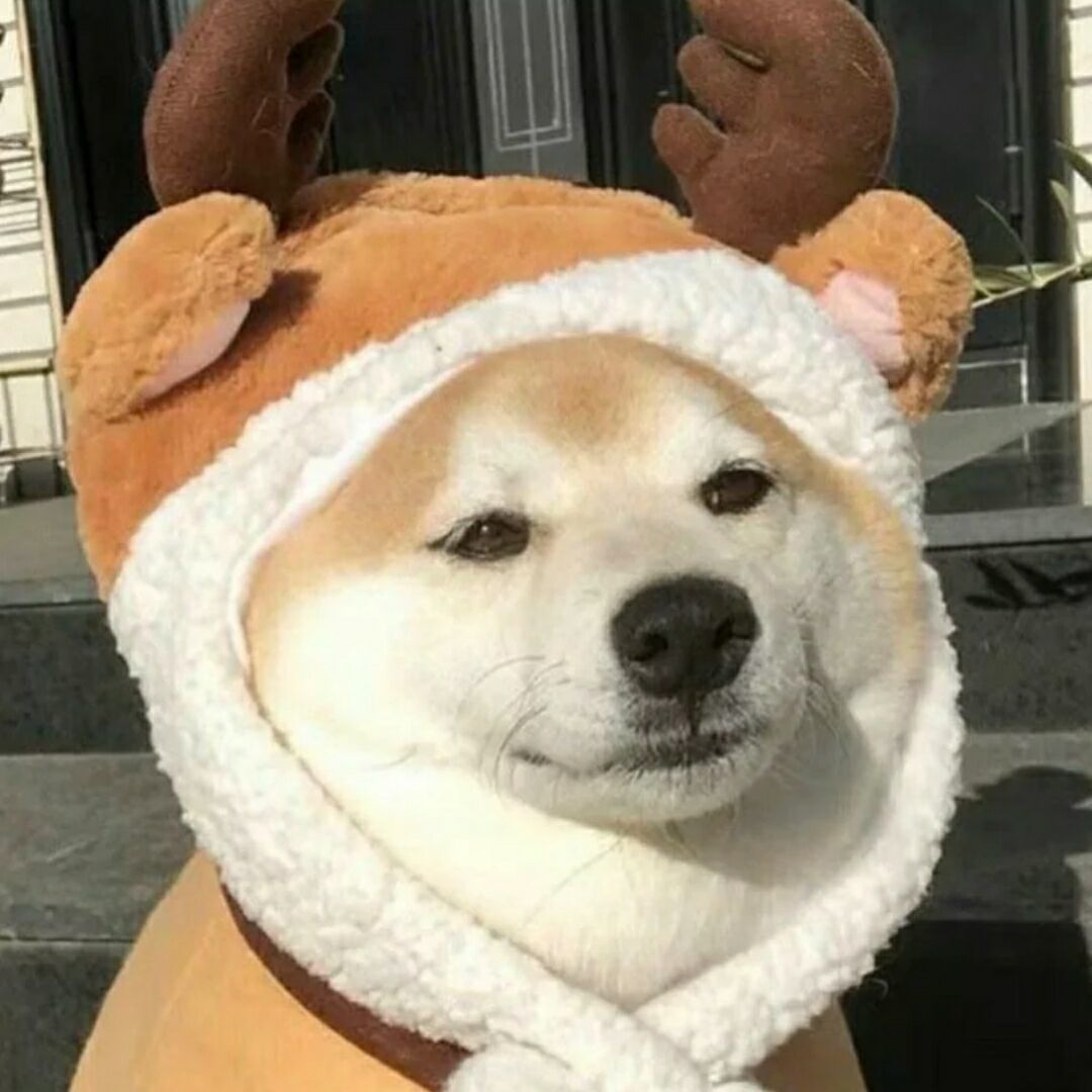 TheFir3Nexus的头像_ModFans