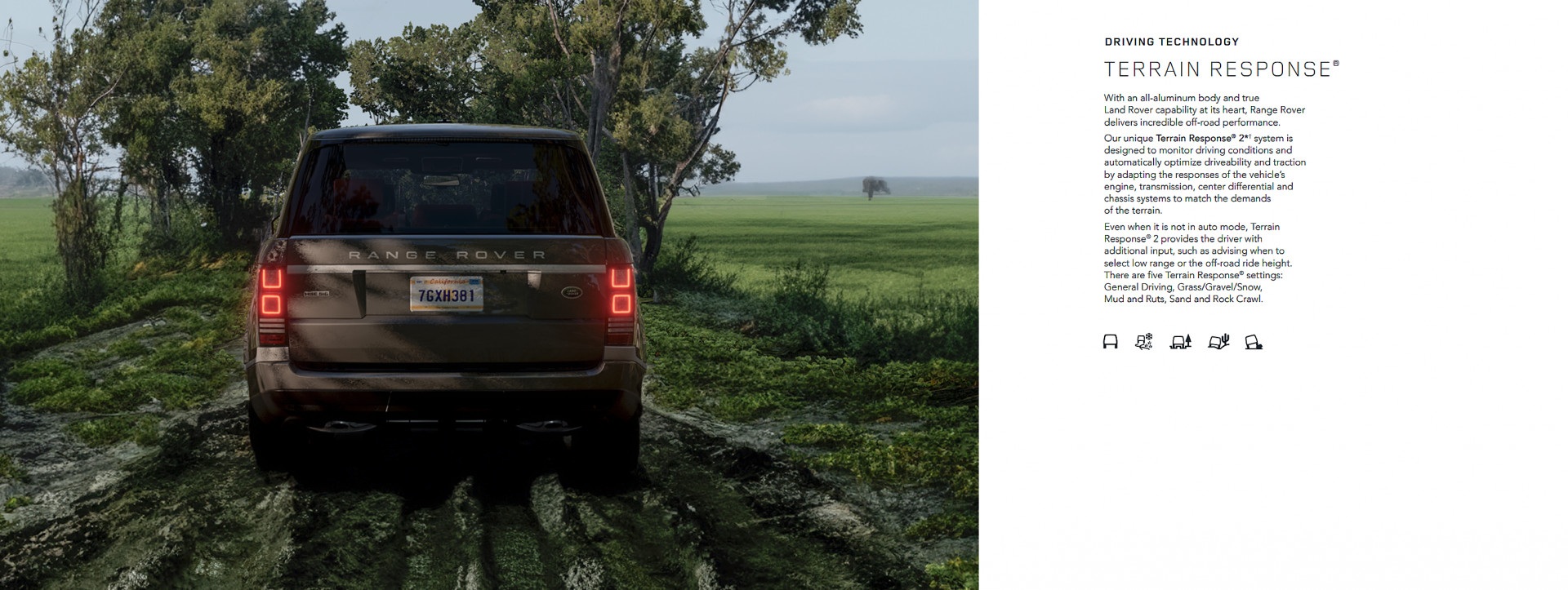 20251009225853300-1760021933-图片-6