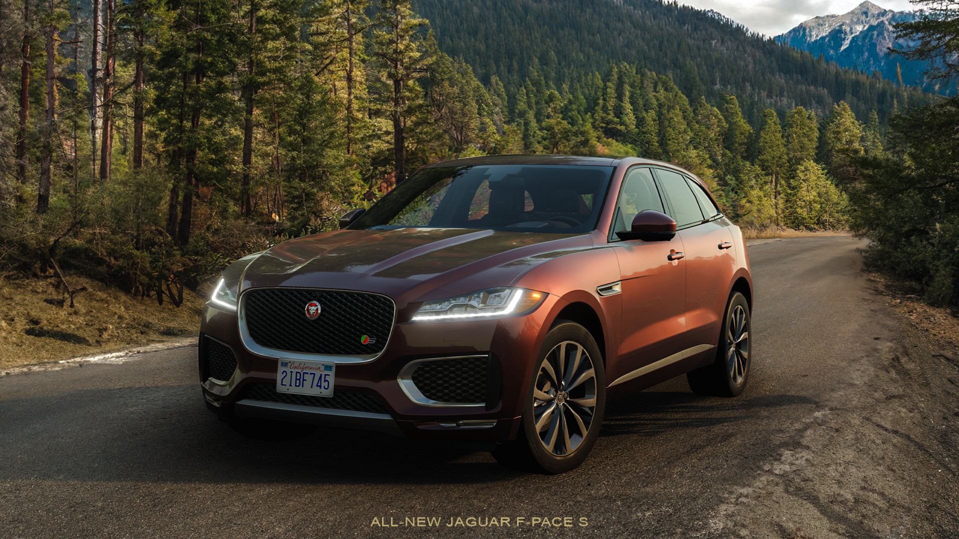 20251105182950362-1762338590-1-lg_modland