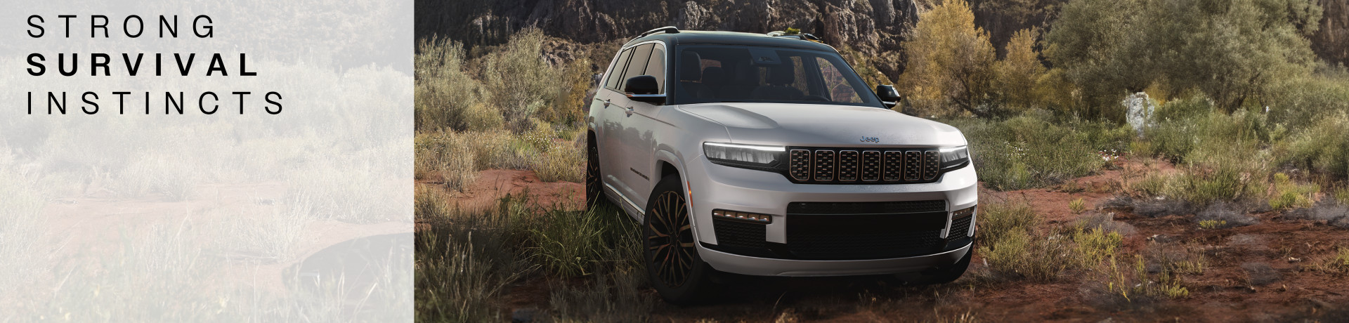 20251122170141578-1763802101-6-lg_modland