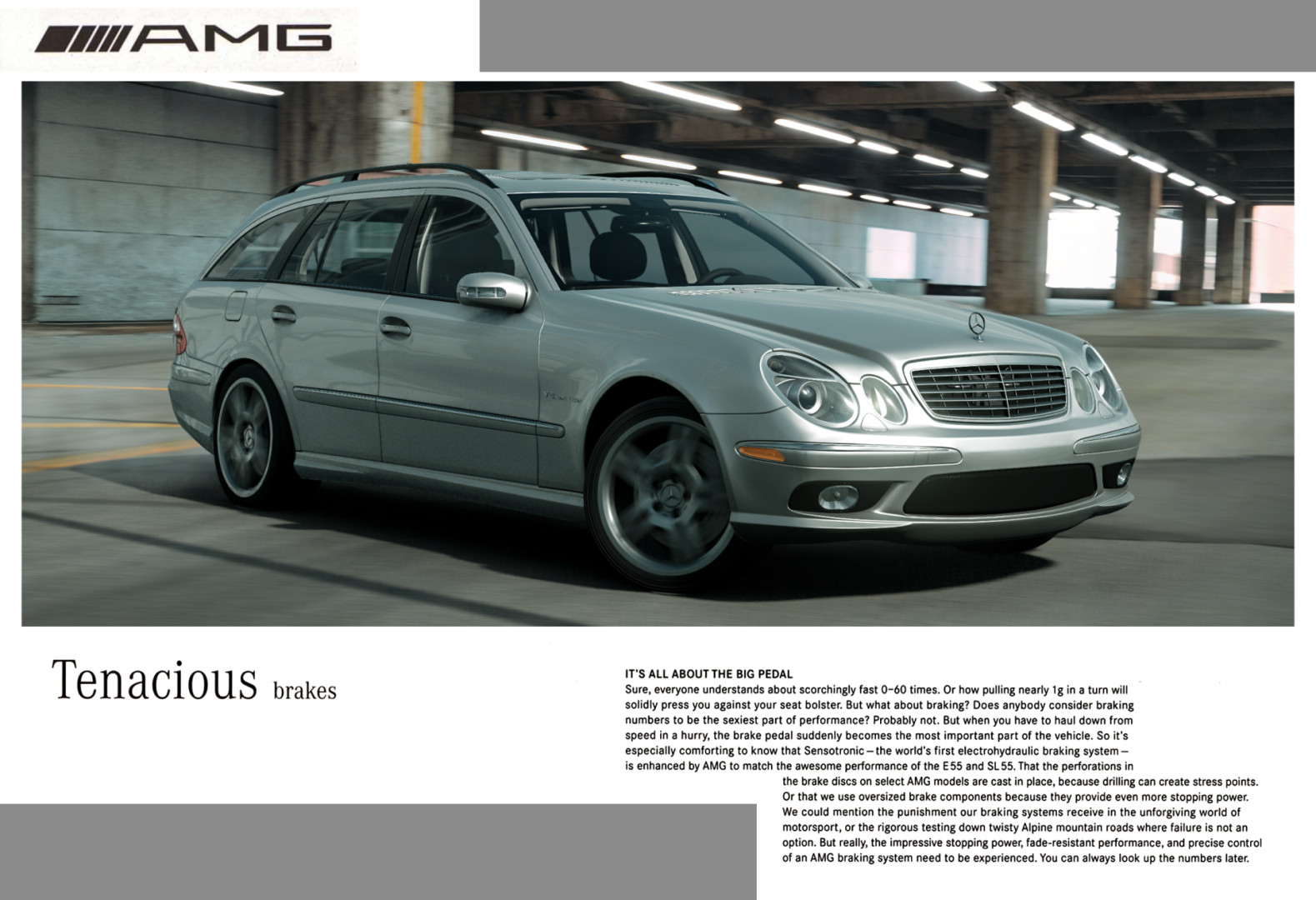 20251124120922198-1763957362-8-lg_modland