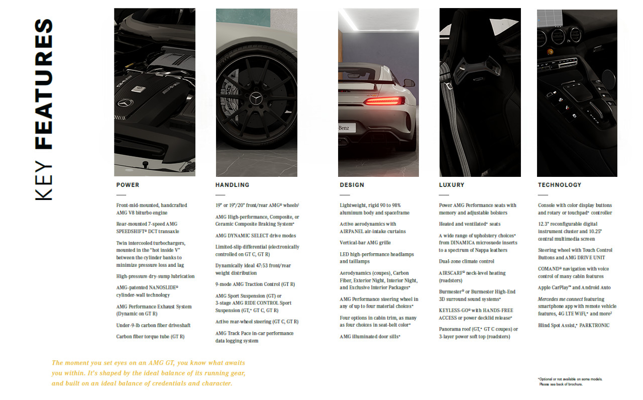 20251205111440896-1764904480-AMG_Brochure-lg_modland